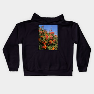 Desert Flowers in Golden Afternoon Sun Kids Hoodie